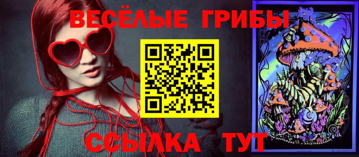 Галлюциногенные грибы Psilocybe Ишимбай