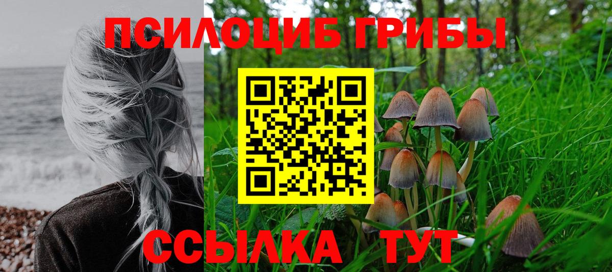 Ишимбай  Псилоцибиновые грибы Psilocybe  Вход с VPN  Галлюциногенные грибы Magic Shrooms 